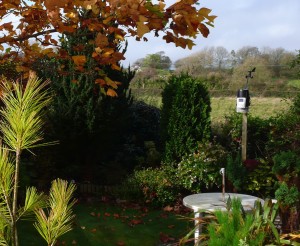 Urswick Weather, Autumn 2009