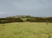 The Short Hole. from the Ladies 14th Tee